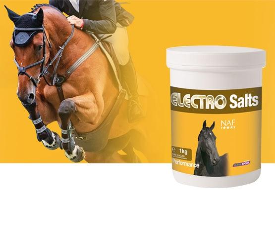 NAF Electro Salts - SHOPHORSE